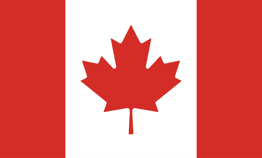 Infinity Design Co Customization - Team Logo Flag Add-On