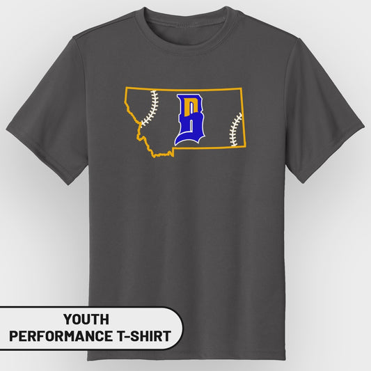 Gray youth performance t-shirt with Montana outline and baseball graphic.